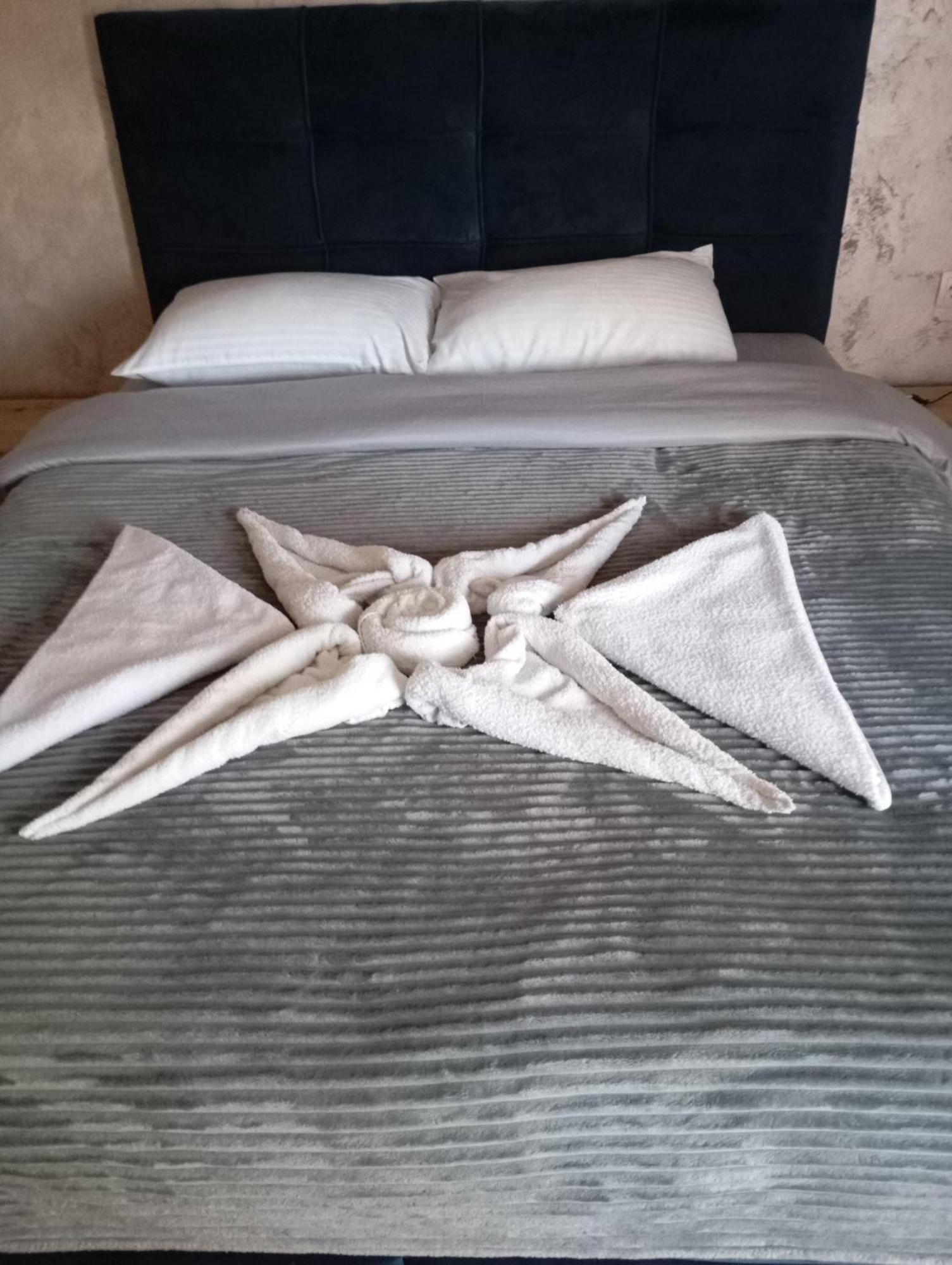 Aleksandrija Apartment Ni